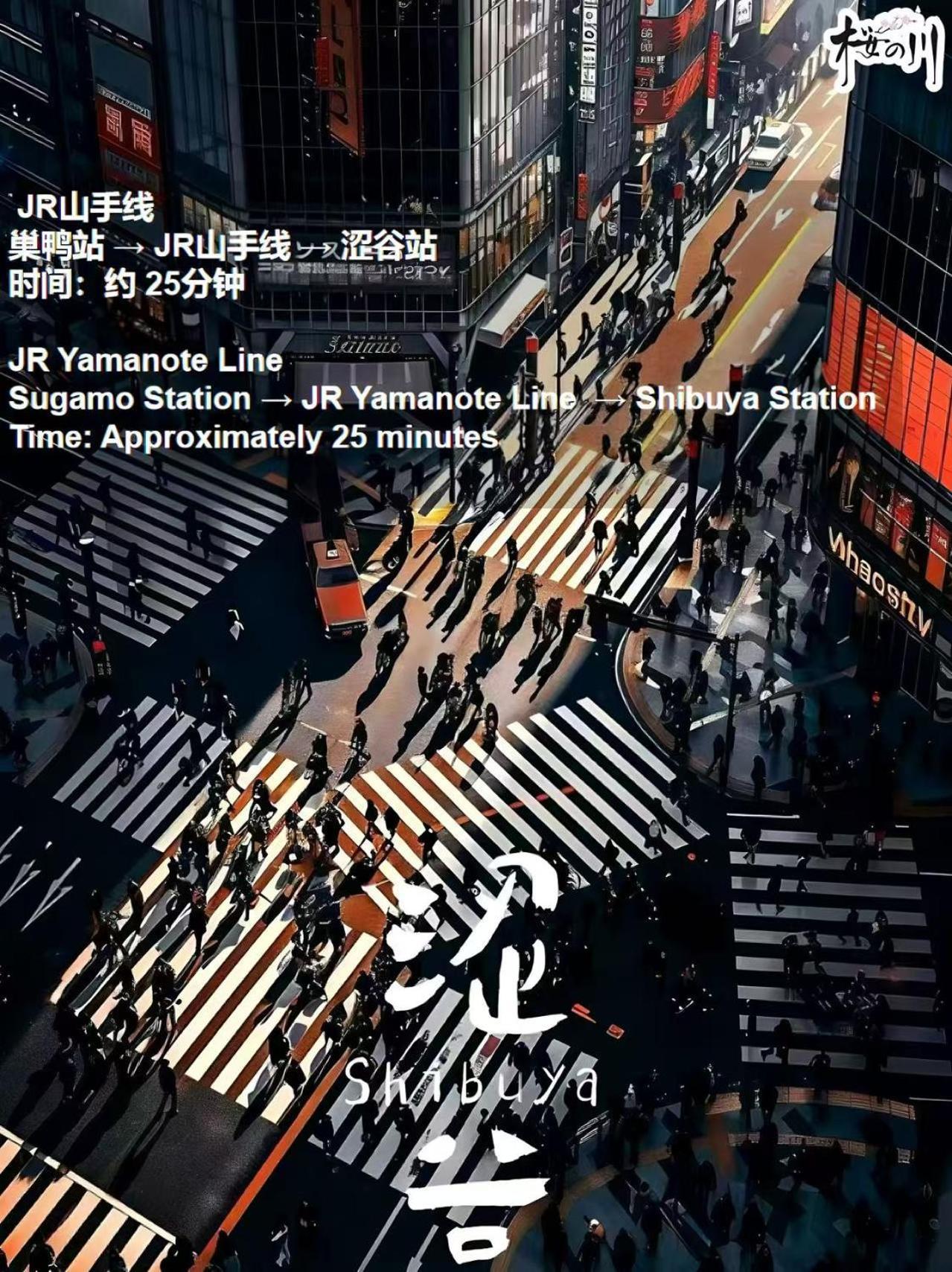 Apartment 桜の川34 Sugamo Diamond Mansion 401 Direct To Ikebukuro Yamanote Line 5mins *
