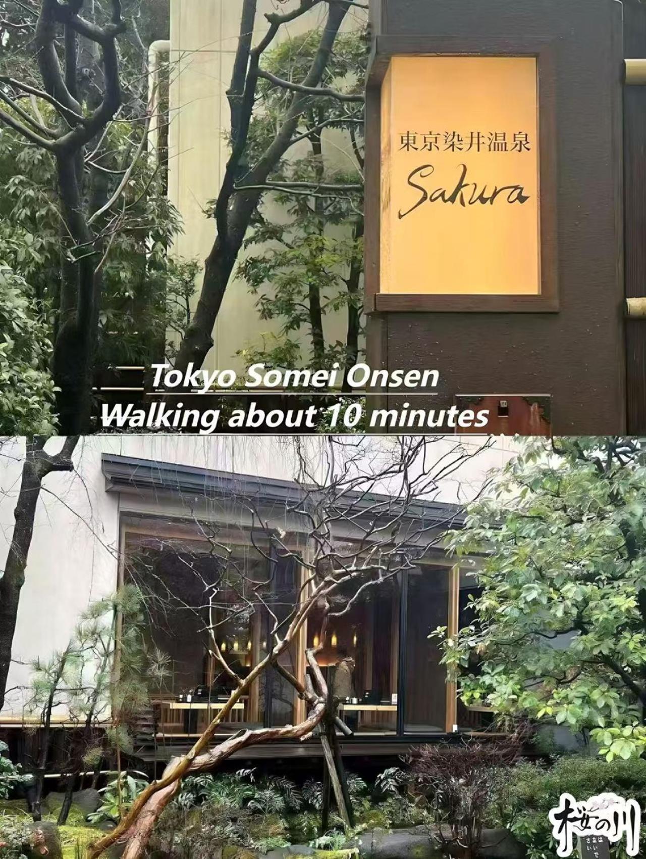 桜の川34 Sugamo Diamond Mansion 401 Direct To Ikebukuro Yamanote Line 5mins * Tokyo